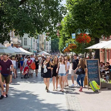 ホームステイ Point *