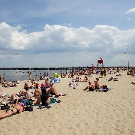 Проживание в семье Point *