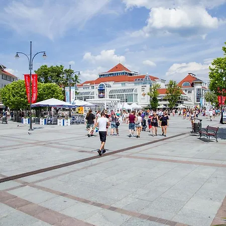 Проживание в семье Point *