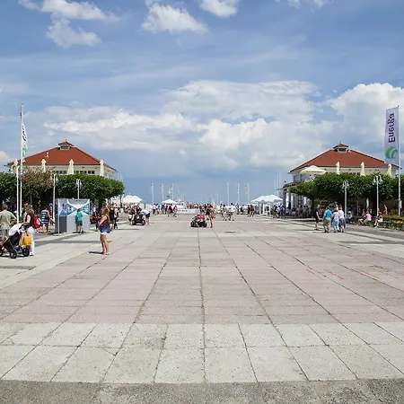 Проживание в семье Point