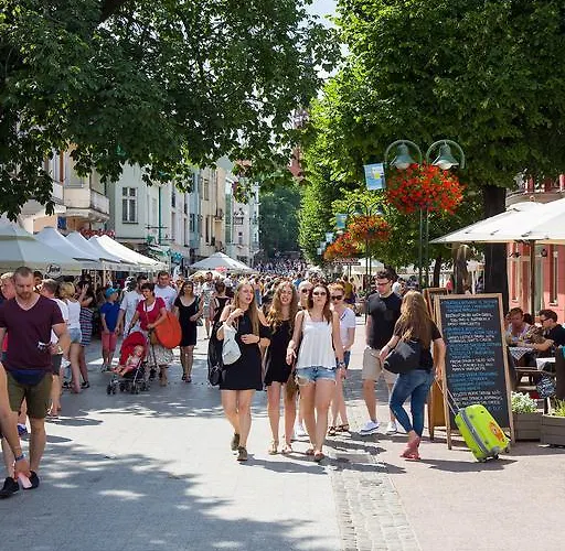 Проживание в семье Point *