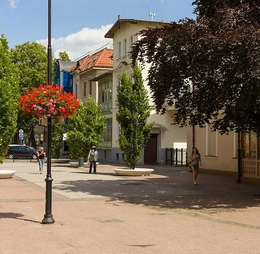 Проживание в семье Point