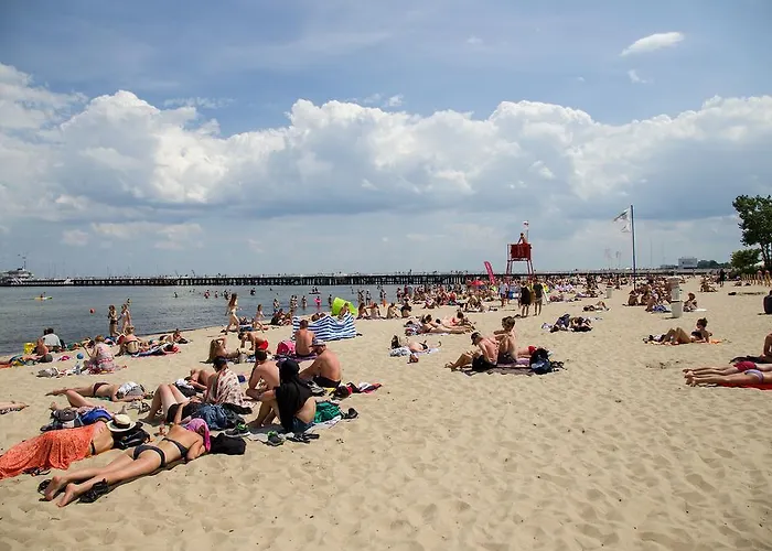 Проживание в семье Point *