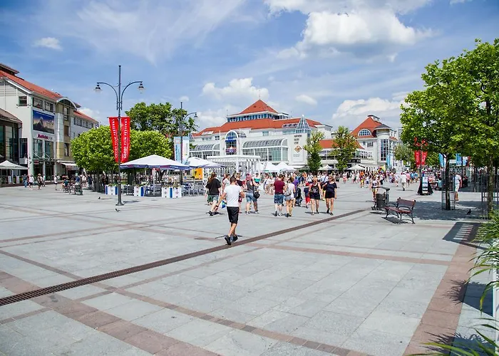 Проживание в семье Point *