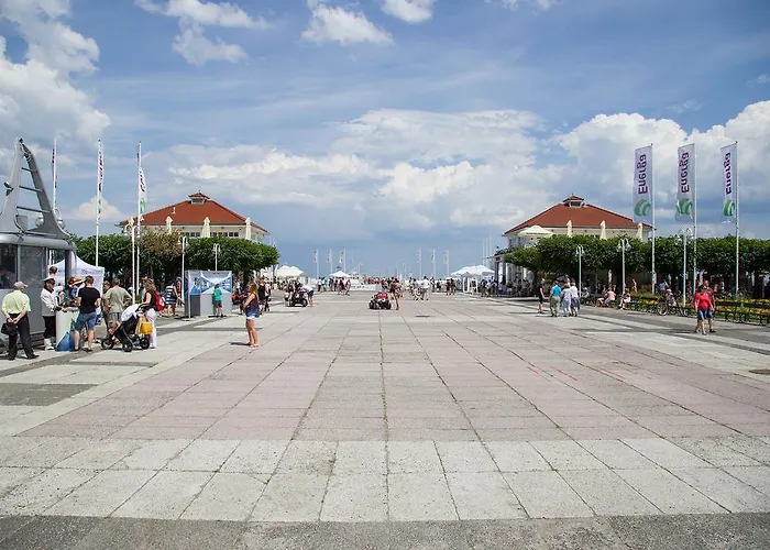 Проживание в семье Point